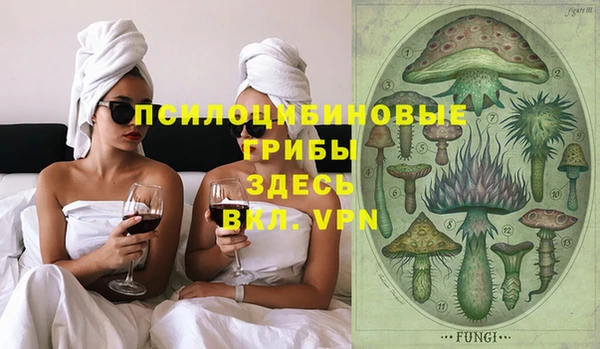 прущая мука Апатиты