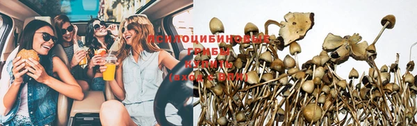 прущая мука Апатиты