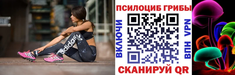 цены наркотик  Дзержинский  Галлюциногенные грибы мухоморы 