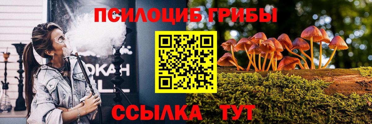 Галлюциногенные грибы Cubensis  Галлюциногенные грибы Cubensis  Дзержинский 