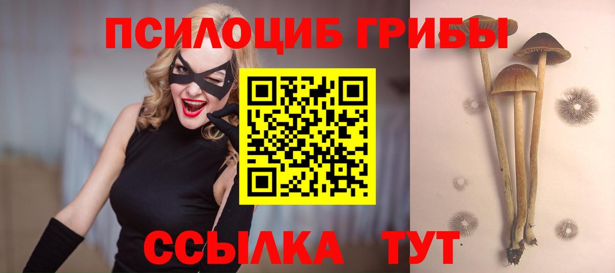 Дзержинский  Псилоцибиновые грибы GOLDEN TEACHER  Вход с VPN  Псилоцибиновые грибы мицелий 